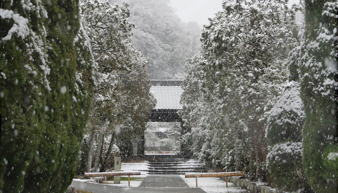 山門雪