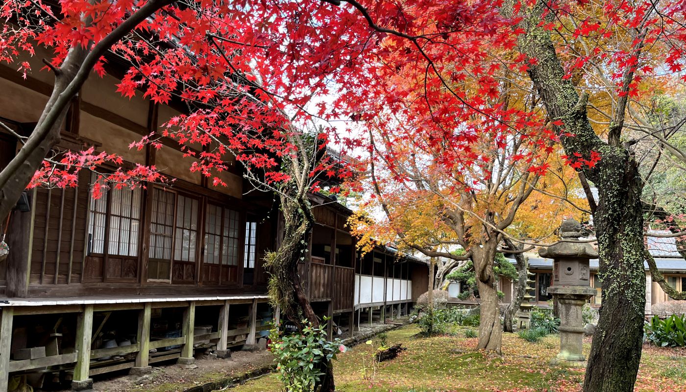 住職紅葉