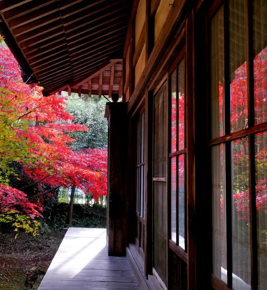 紅葉